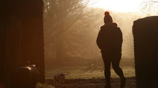 Contains people, winter